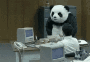 404s make panda angry...